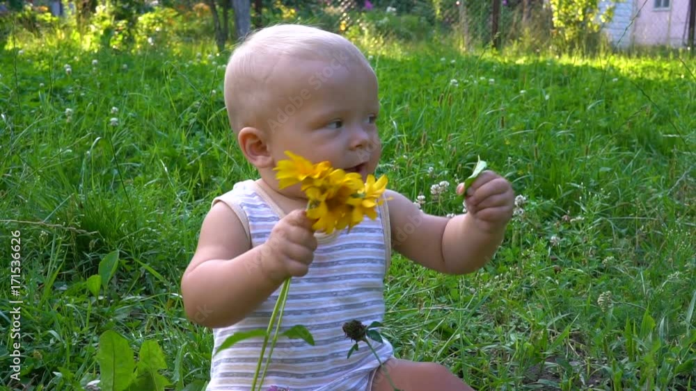 beautiful child is sitting with a flower in his hands and tries it