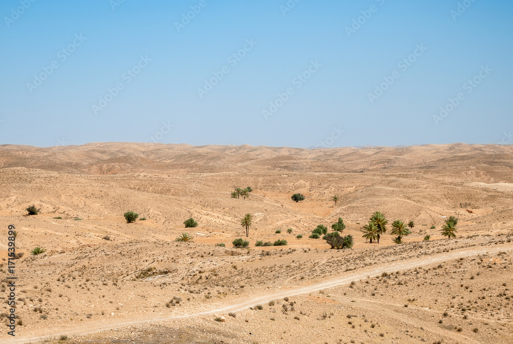 A dry desert landscape with palm trees and hills on a sunny day with a clear blue sky