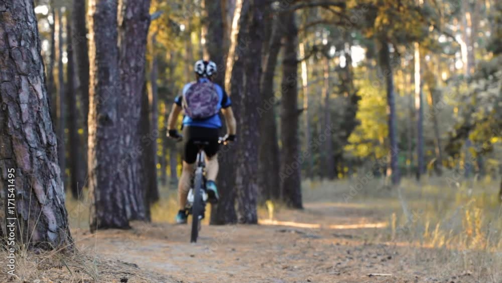 man cyclist rides paths in the Pine Forest man cyclist rides paths in the Pine Forest