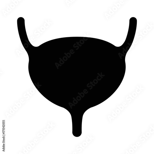 Human urinary bladder with ureters and urethra flat vector icon for health apps and websites