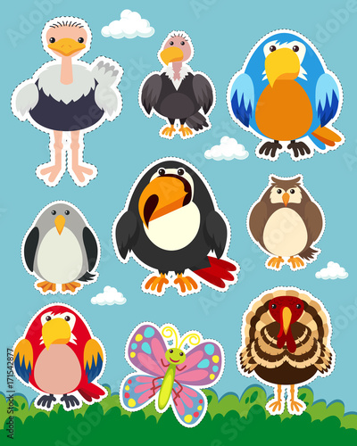 Sticker set with different types of birds