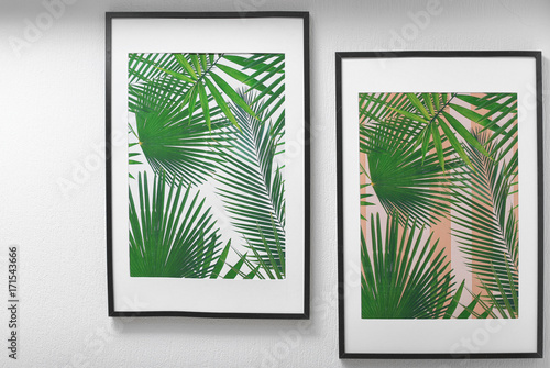 Framed pictures of tropical leaves on white wall © Africa Studio