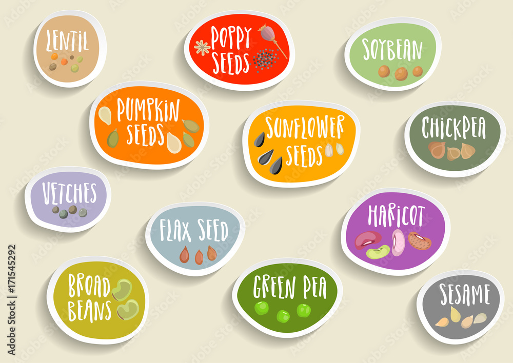 Vector set of trendy colorful paper stickers with beans, seeds and lettering. For packaging and advertising healthy food.