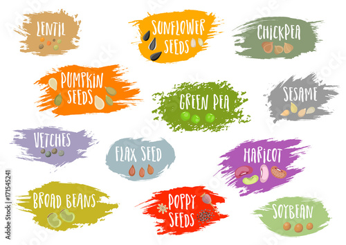 Vector set of trendy emblems with beans and seeds and lettering. For packaging and advertising healthy food.