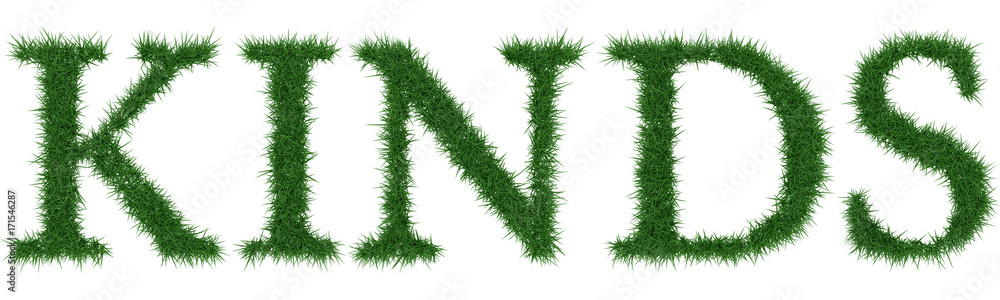 Kinds - 3D rendering fresh Grass letters isolated on whhite background. Kinds - 3D rendering fresh Grass letters isolated on whhite background.