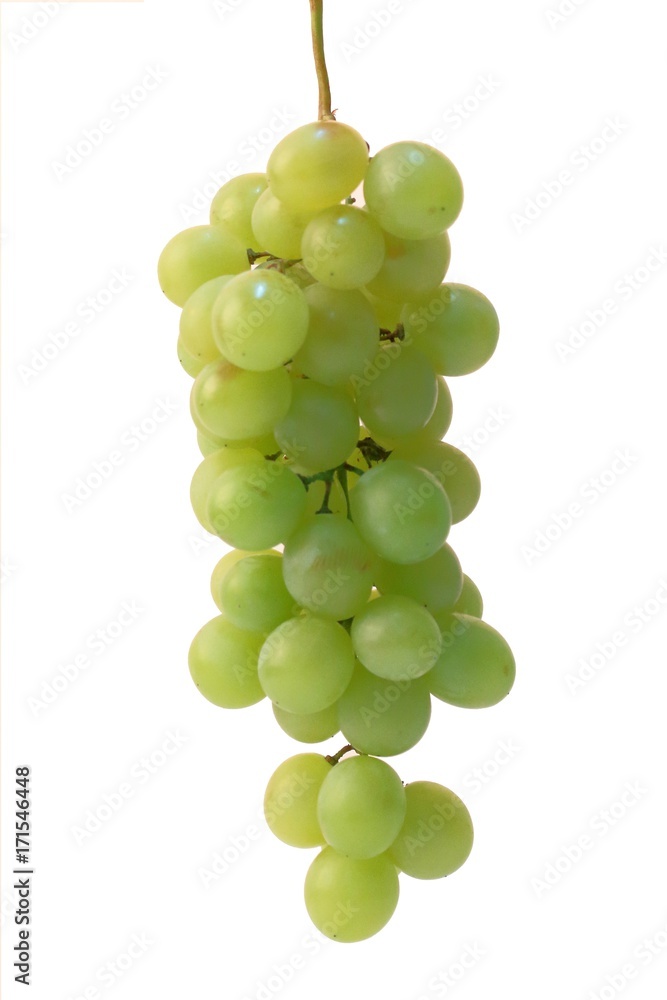 bunch of white grapes on a white background bunch of white grapes on a white background