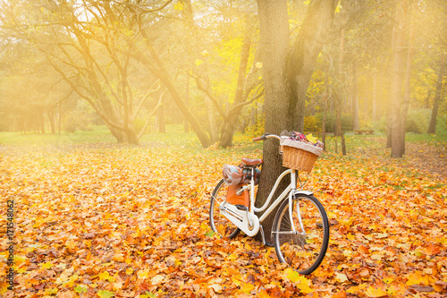 vintage bicycle with basket picnic set hot drinks in autumn park background copy space