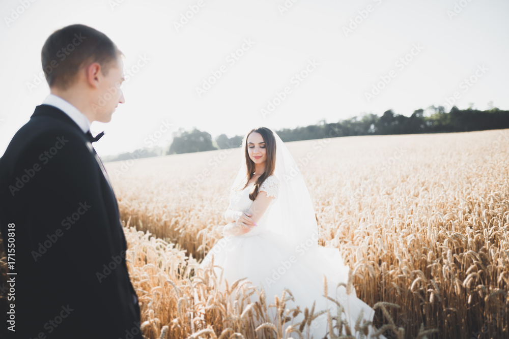 Wedding couple posing on sunset at wedding day. Bride and groom in love Wedding couple posing on sunset at wedding day. Bride and groom in love