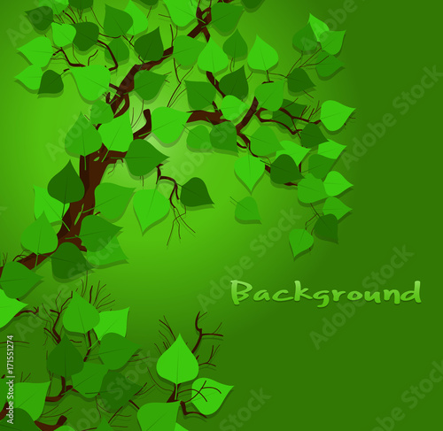 Green Leaves Vector Background