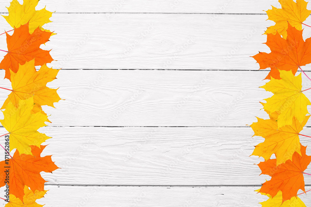 frame of autumn maple leaves on a white wooden background and space for text frame of autumn maple leaves on a white wooden background and space for text