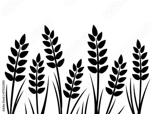 Wheat silhouette isolated on white background.