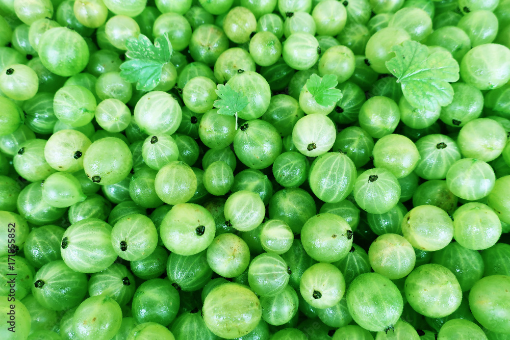 texture of green berries texture of green berries