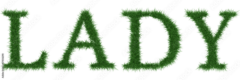 Lady - 3D rendering fresh Grass letters isolated on whhite background. Lady - 3D rendering fresh Grass letters isolated on whhite background.