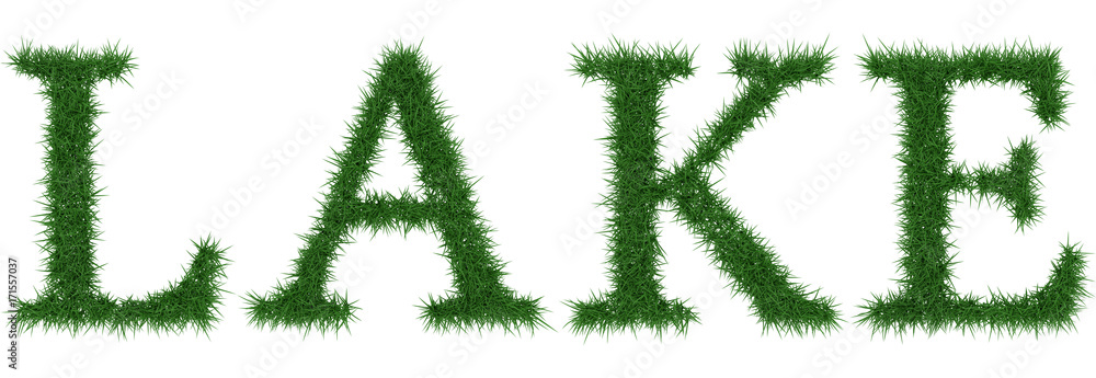 Lake - 3D rendering fresh Grass letters isolated on whhite background. Lake - 3D rendering fresh Grass letters isolated on whhite background.