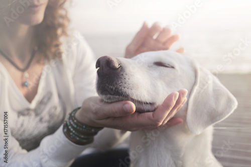 Fotografija woman gently caresses her dog