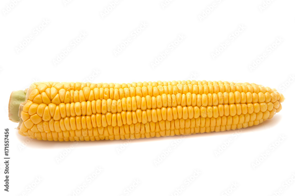 corn on the cob isolated on white background corn on the cob isolated on white background