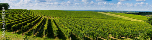 Sunset  Landscape  Bordeaux Wineyard  France