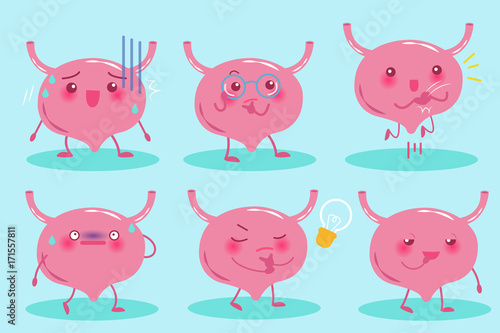 cute cartoon bladder