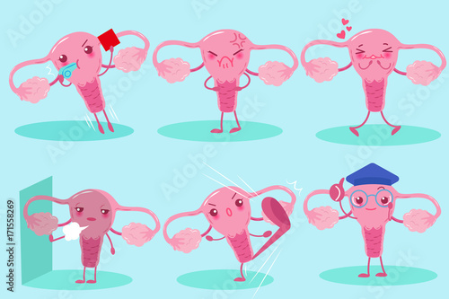 cute cartoon uterus