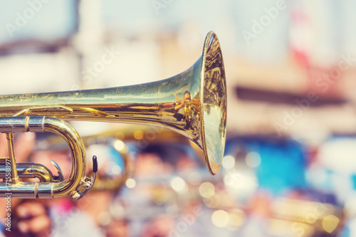 Obraz na plátně Trumpet