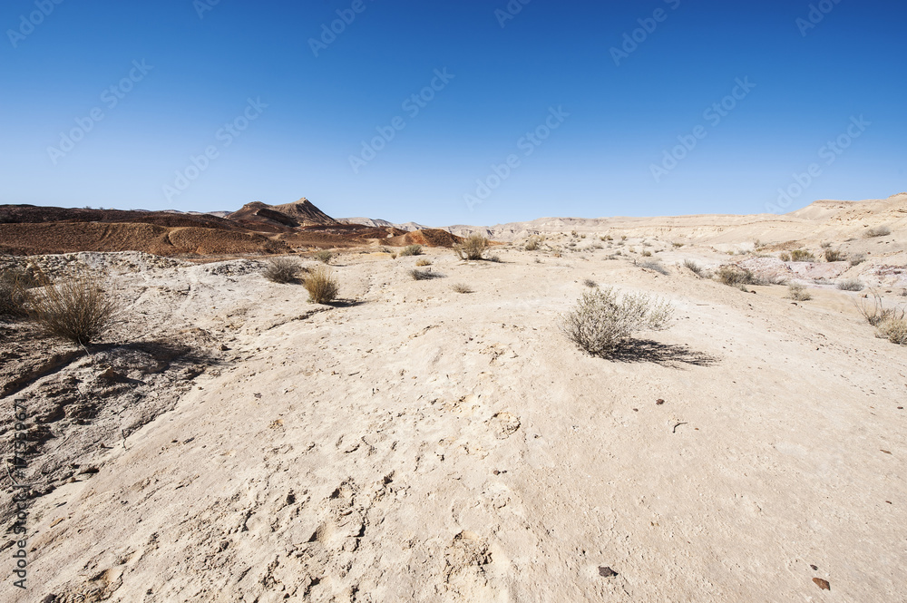 Stone Desert in Israel