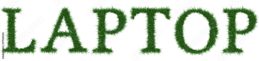Laptop - 3D rendering fresh Grass letters isolated on whhite background. Laptop - 3D rendering fresh Grass letters isolated on whhite background.