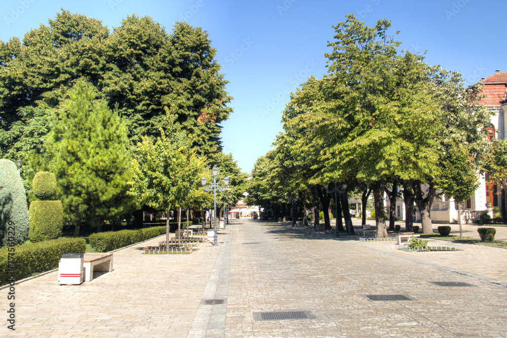 Wide lane surrounded by trees in the city center of Shkoder in Albania
Wide lane surrounded by trees in the city center of Shkoder in Albania
