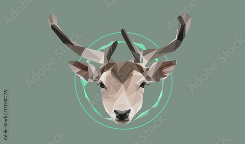 Low poly deer vector