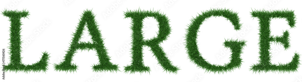 Large - 3D rendering fresh Grass letters isolated on whhite background. Large - 3D rendering fresh Grass letters isolated on whhite background.