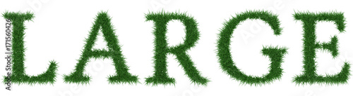 Large - 3D rendering fresh Grass letters isolated on whhite background.