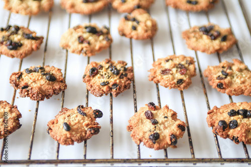 Oatmeal cookies with raisins and hazelnut on a rack