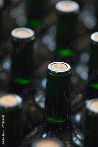 vendange vinification vin