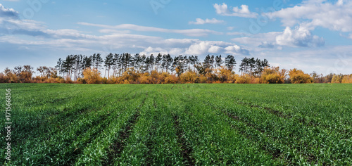 Agricultural field in Europe