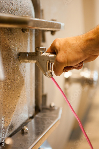 vendange vinification vin