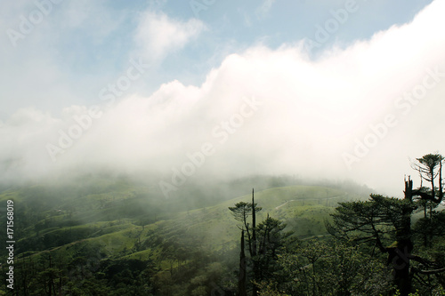 Obraz na plátně Landscape view of Green Vallery surrounded with cloudss