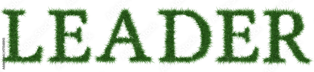 Leader - 3D rendering fresh Grass letters isolated on whhite background. Leader - 3D rendering fresh Grass letters isolated on whhite background.