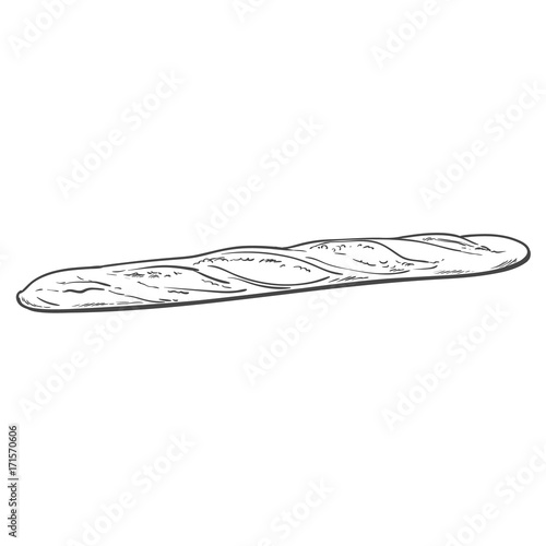 vector sketch fresh french bread baguette. Detailed hand drawn isolated illustration on a white background. Flour pastry products, bakery banner, poster design object