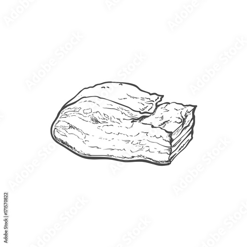 vector sketch lard meat. Isolated illustration on a white background. Sausage and meat types concept