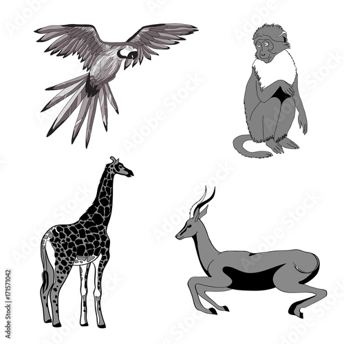 Vector illustration. Set of animals  parrot  giraffe  monkey  gazelle. Black  white  gray.