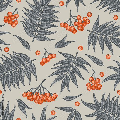 Engraving autumn rowanberry seamless pattern.