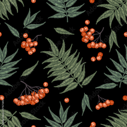Engraving autumn rowanberry seamless pattern.