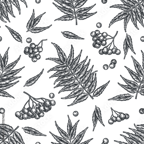 Engraving autumn rowanberry seamless pattern.