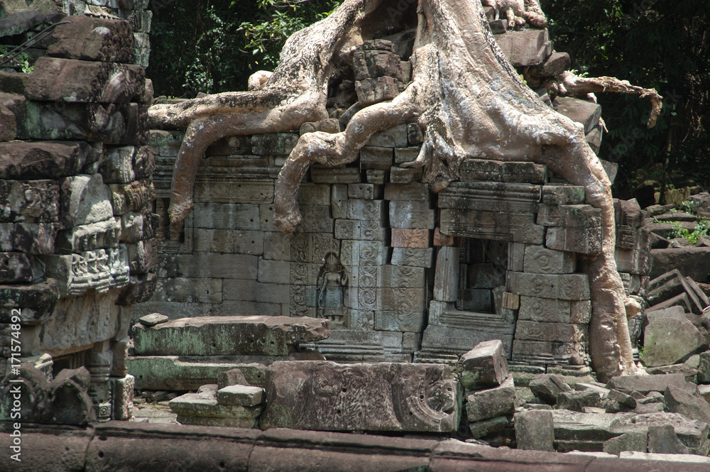 Khmer-Tempel Ta Prohm überwuchert von Würgefeigen