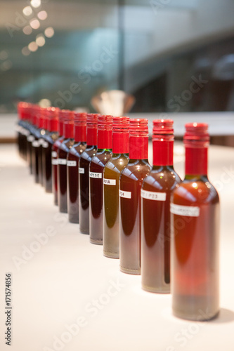 vendange vinification vin