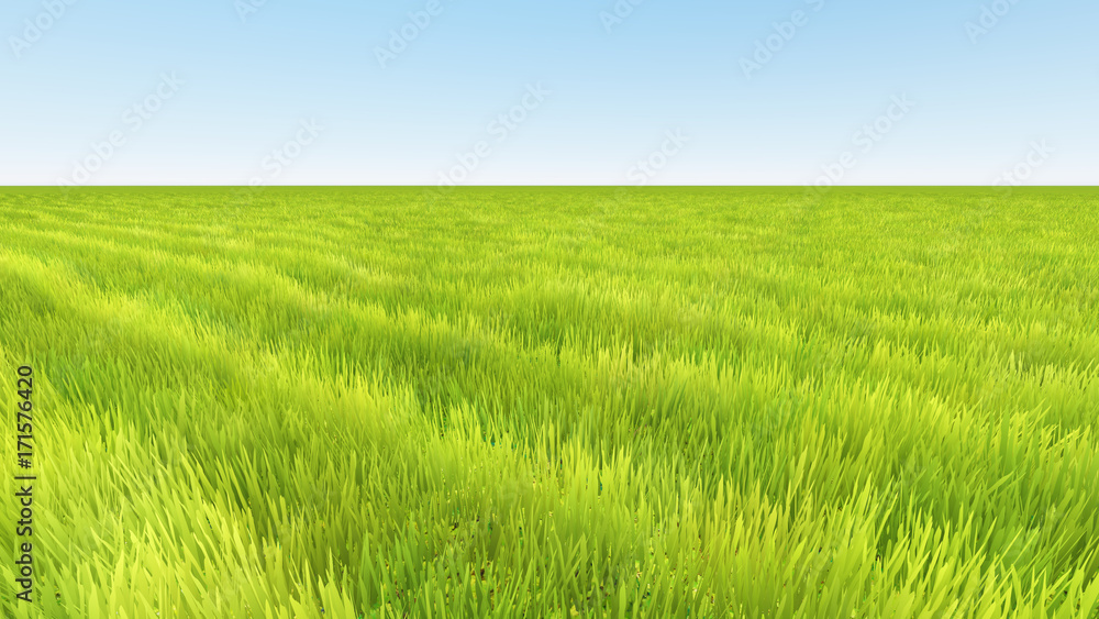 landscape green grass and clear sky 3D render landscape green grass and clear sky 3D render