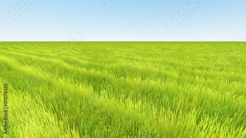 landscape green grass and clear sky 3D render