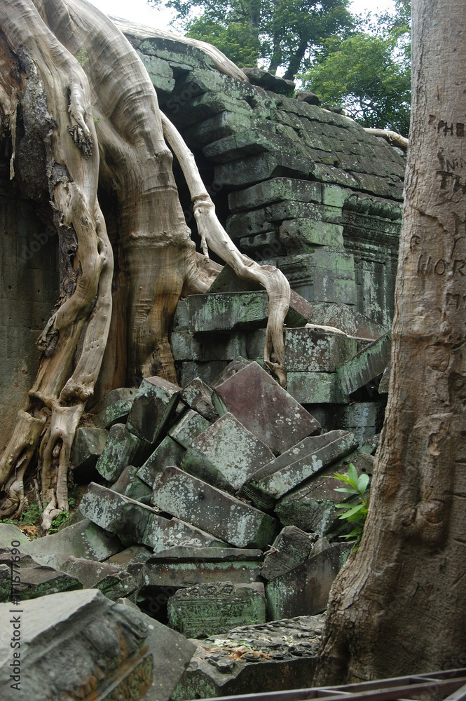Khmer-Tempel Preah Khan in Angkor überwuchert von Würgefeigen
