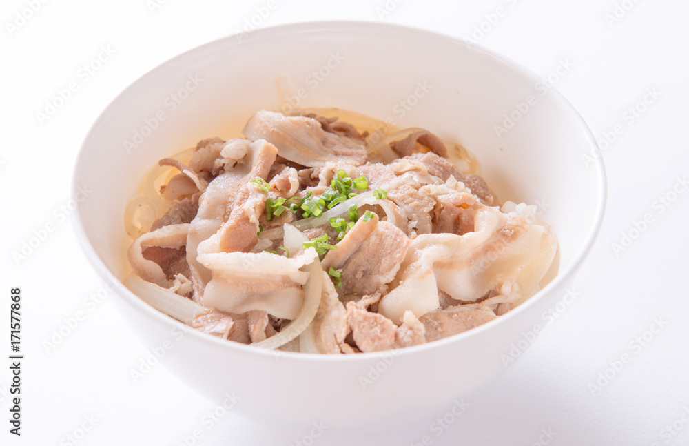 pork japanese style pork japanese style