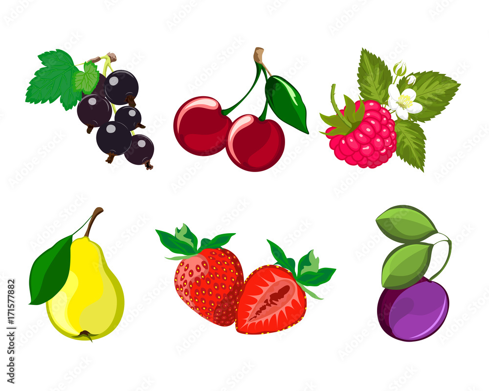 Set of ripe fruit and berries (cherries, pears, plums, strawberry, black currant, raspberry).Vector image.
