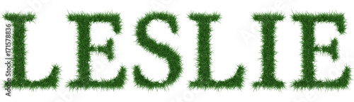 Leslie - 3D rendering fresh Grass letters isolated on whhite background.